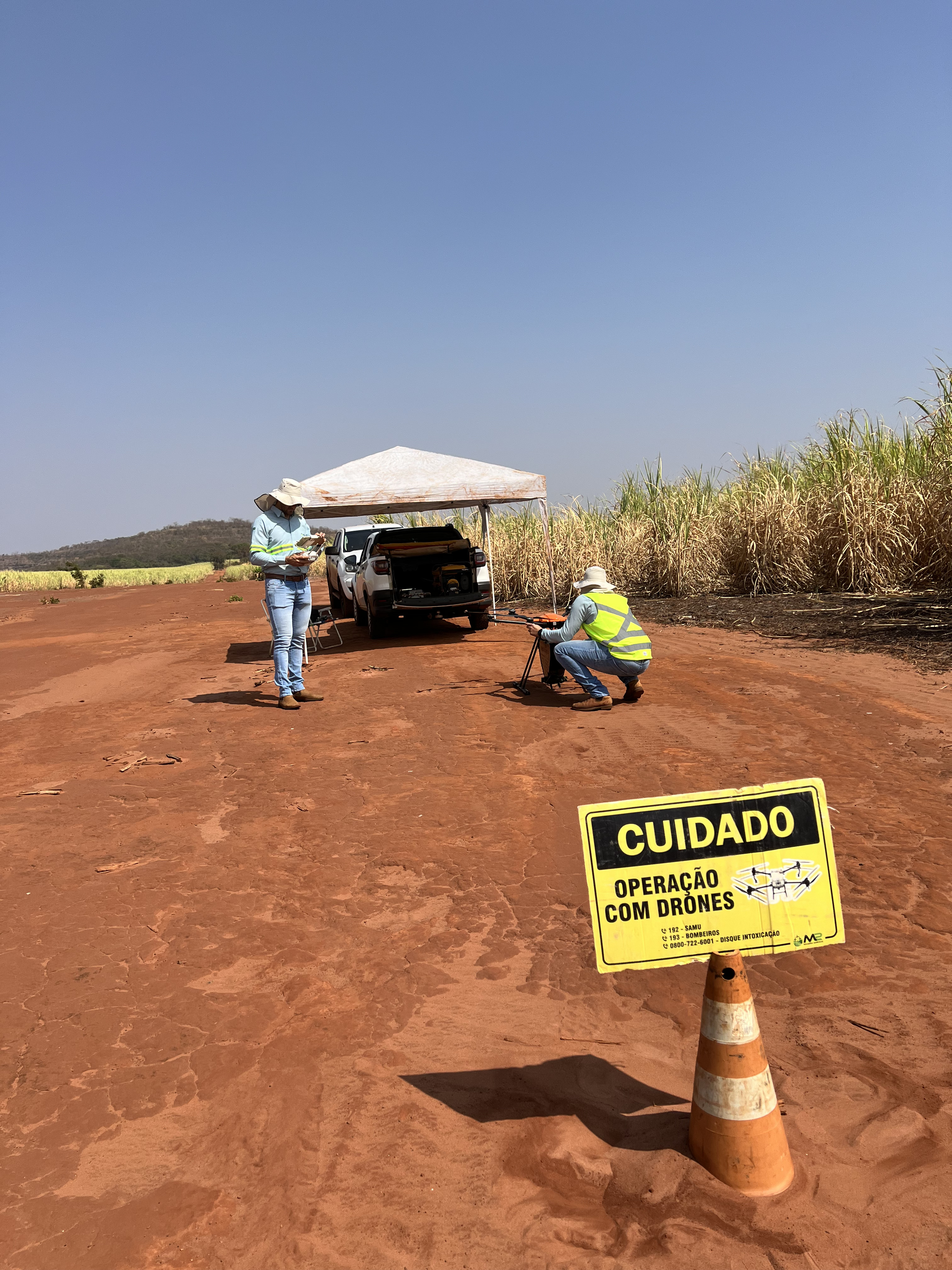 Operação Cotesia