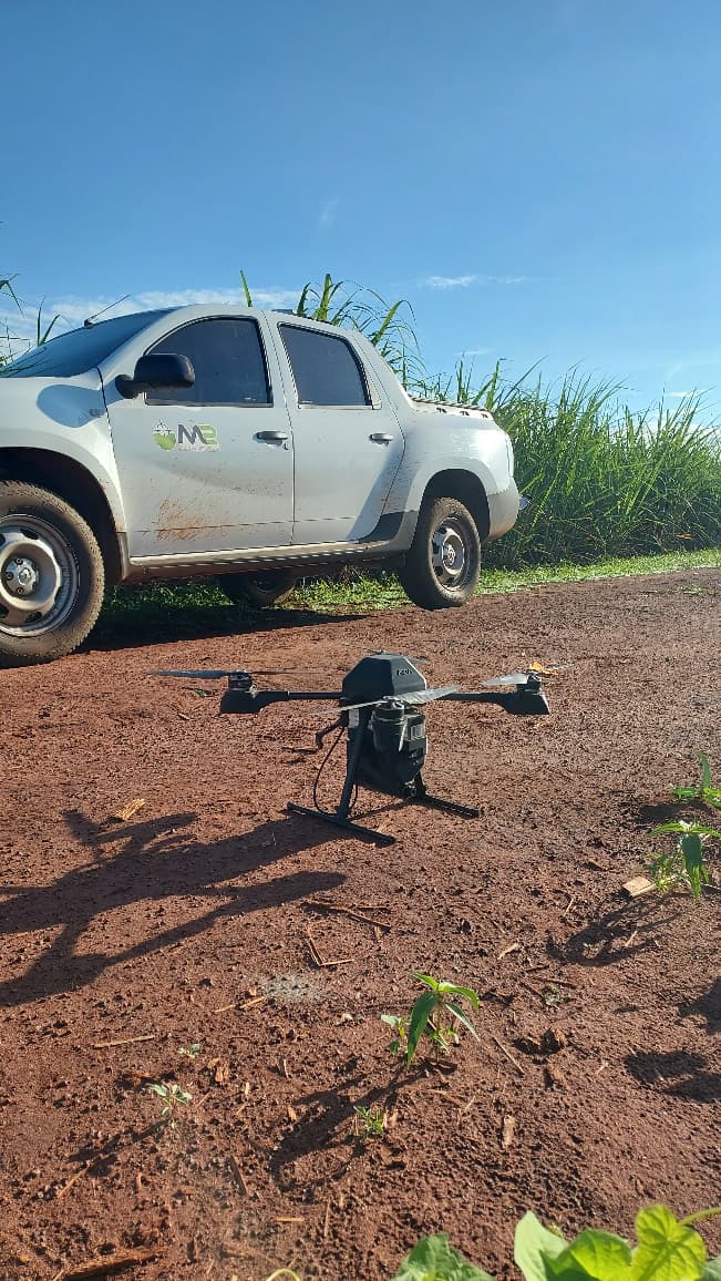 Liberação de Trichogramma galloi com drone — controle biológico em cana-de-açúcar