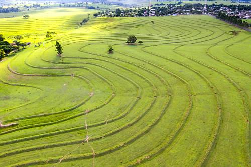 Vista aérea de campo com curvas de nível implantadas sobre pastagem