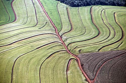 Vista aérea de curvas de nível implementadas em lavoura