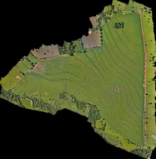 Mapeamento com drone RTK em área agrícola — levantamento aerofotogramétrico e ortomosaico