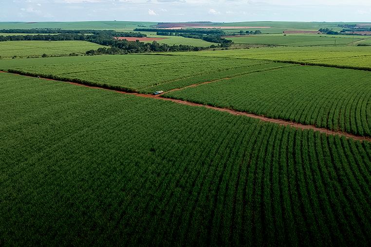 Drone mapeando canavial