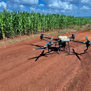 WhatsApp Image 2024-08-30 at 10.34.21